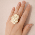 Anillo Nara