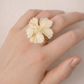 Anillo Iria